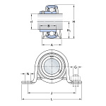 SBPP 203