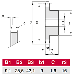 10B-1 Z31
