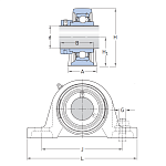 SY 55 WF