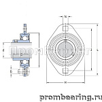 SBPFL 208