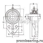 UCFB 204