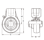 UCHA 204