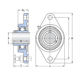 SSUCFL 210