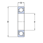 SS61902-2RS