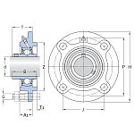 UCFCPL212